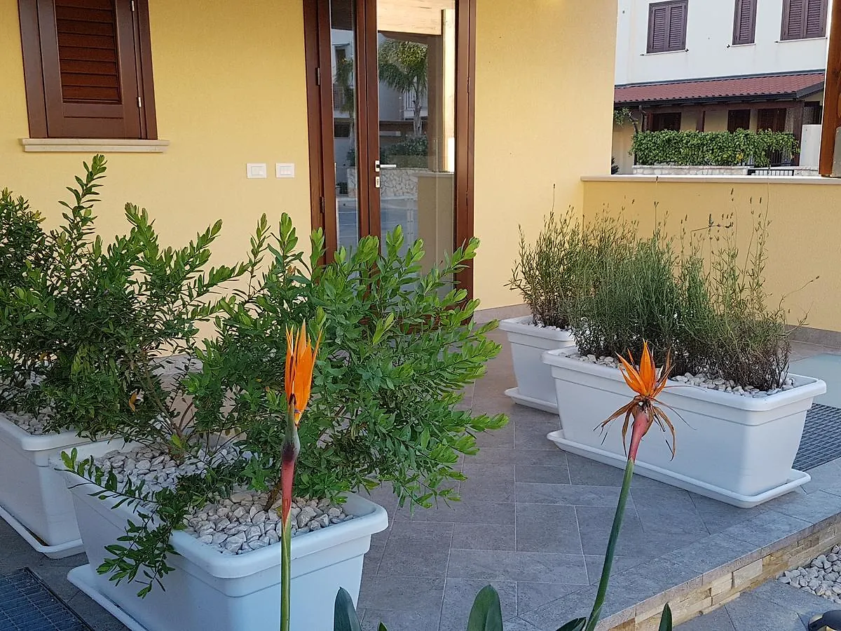 B&B Aloe Comfort Rooms San Vito Lo Capo 0*,